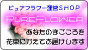 pureflower